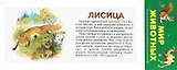 Мир Животных. Карточки