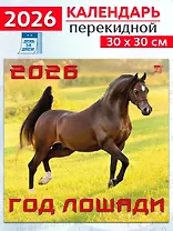 Календарь 2026г 300*300 «Год лошади» настенный, на скрепке