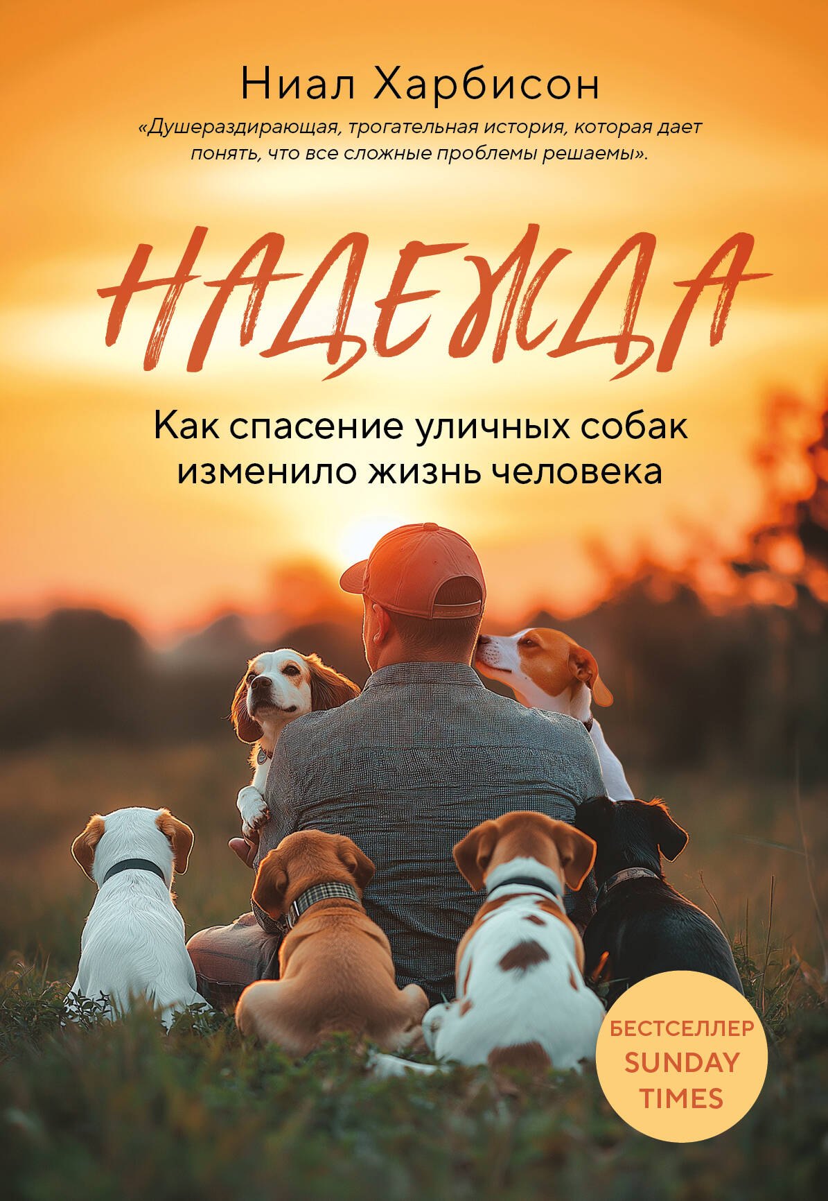 

Надежда. Как спасение уличных собак изменило жизнь человека