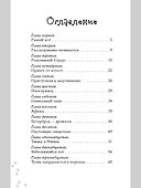 Котлетное расследование кота Страуса - 1