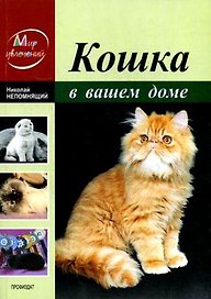 Кошка в вашем доме