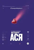 Метеорит Ася