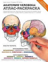 Анатомия человека: атлас-раскраска. 4 -е изд.