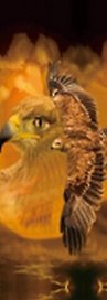 Закладка 3D (00116) (Мир открытий)