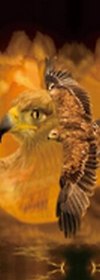 Закладка 3D (00116) (Мир открытий)