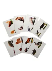 НИ Где моя мама (00134) (карточки пазлы 8 пар) (обуч. серия) (Половинки) (3+) (коробка)