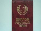 Диплом реальной телки (AE0000615) (Мастер)