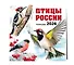 Птицы России. Календарь настенный на 2026 год (300х300 мм) - 1