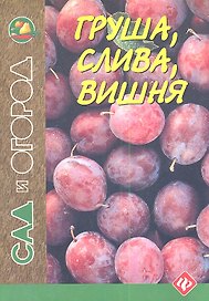 Груша, слива, вишня