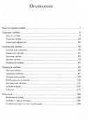 Алгебра любви. Разум поверяет чувства - 2