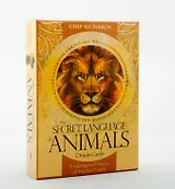 Secret Language of Animals (46 cards and guidebook)