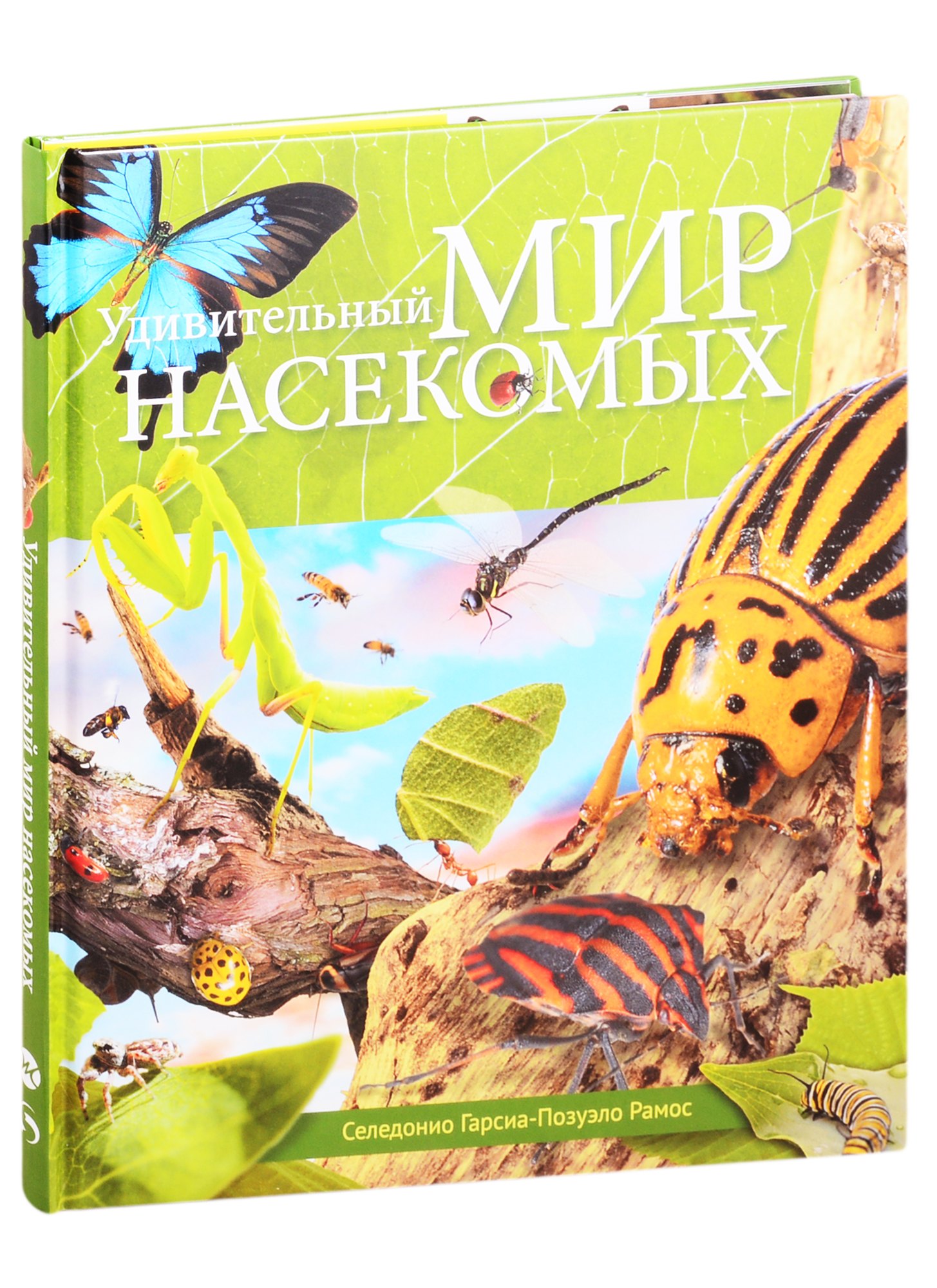 

Удивительный мир насекомых