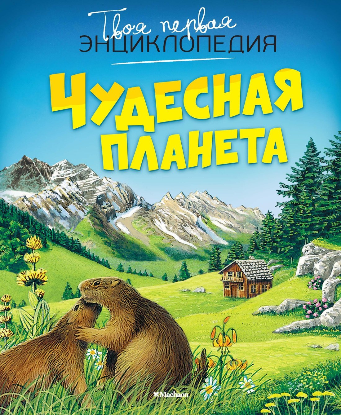 

Чудесная планета