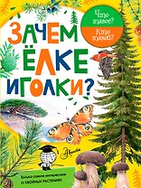 ЧтоТакоеКтоТакой Зачем ёлке иголки?