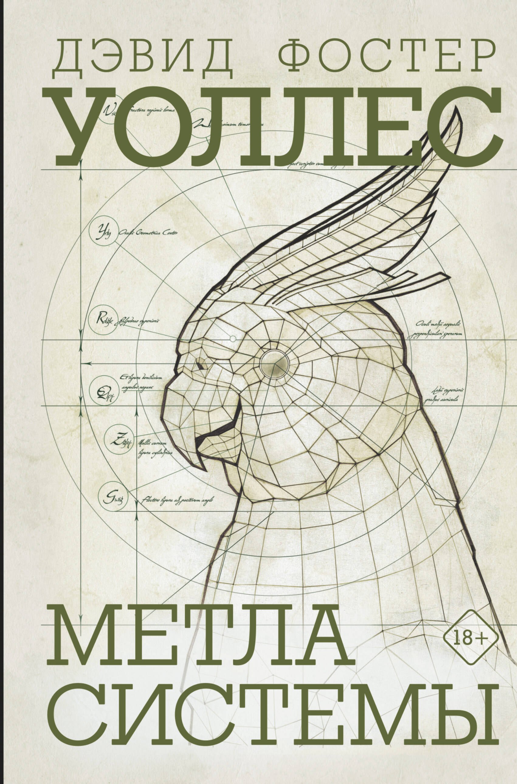

Метла системы