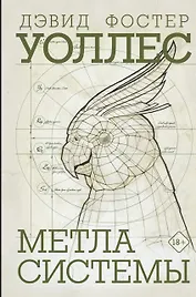 Метла системы