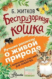 Беспризорная кошка