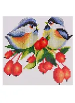 Набор для творчества TUKZAR Алмазная мозаика 20х20см Птички, на подрамнике, частичная выкладка