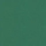 Бумага для пастели 50*65 "Tiziano" 160г/м2 №37 зеленый темный, Fabriano