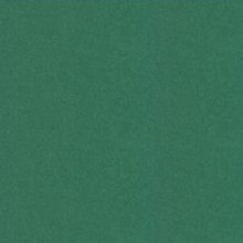 Бумага для пастели 50*65 "Tiziano" 160г/м2 №37 зеленый темный, Fabriano