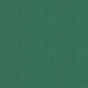 Бумага для пастели 50*65 "Tiziano" 160г/м2 №37 зеленый темный, Fabriano