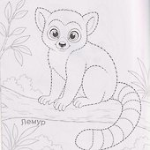 Дикие животные. Книжка-раскраска - 2