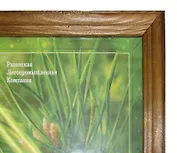 Фоторамка деревянная 10*15 Мокко (40)