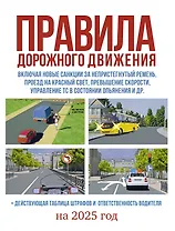 Правила дорожного движения на 2025 год. Действующая таблица штрафов и ответственность водителя