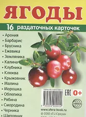 Дем. картинки СУПЕР Ягоды.16 раздаточных карточек с текстом (63х87мм)
