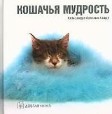 Кошачья мудрость