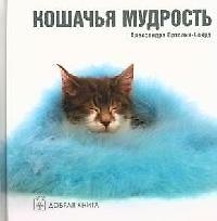 Кошачья мудрость