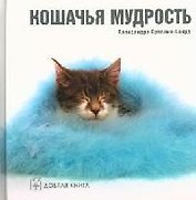 Кошачья мудрость
