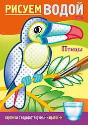 Рисуем водой. Птицы