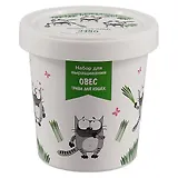 Набор для выращивания Овес (Трава для кошек) (Cats life) (НВ2018-15)