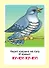 Запуск речи. Набор из 32 обучающих карточек - 1
