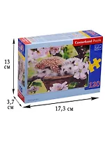 Пазл Castorland MIDI Ежики 120эл. В-13319