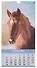 Календарь 2026г 165*335 "Год Лошади. Вид 2" настенный, на спирали - 2
