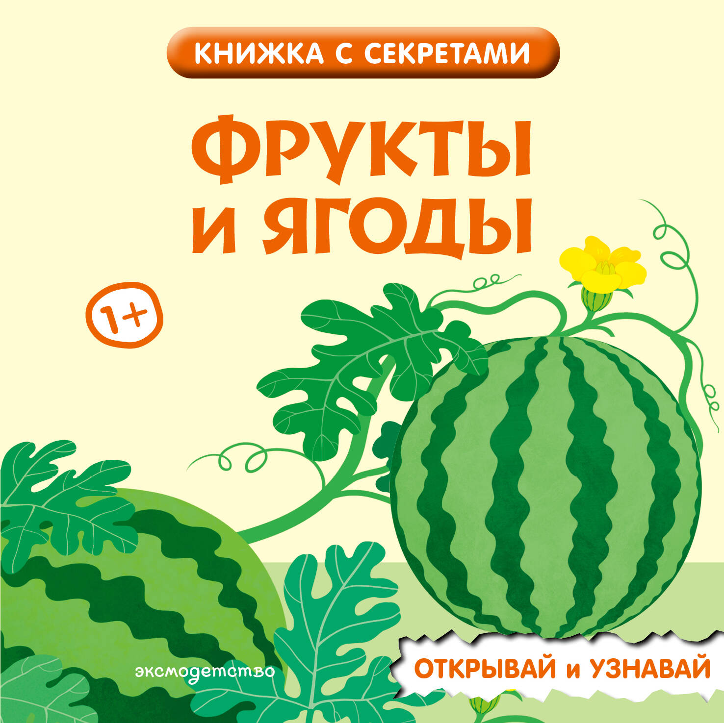 Обложка книги «Фрукты и ягоды»