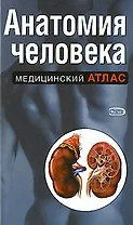 Анатомия человека