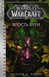 World of Warcraft: Ярость Бури