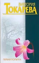 Первая попытка