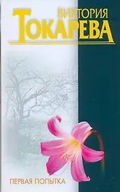 Первая попытка