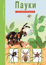 Пауки: Школьный путеводитель