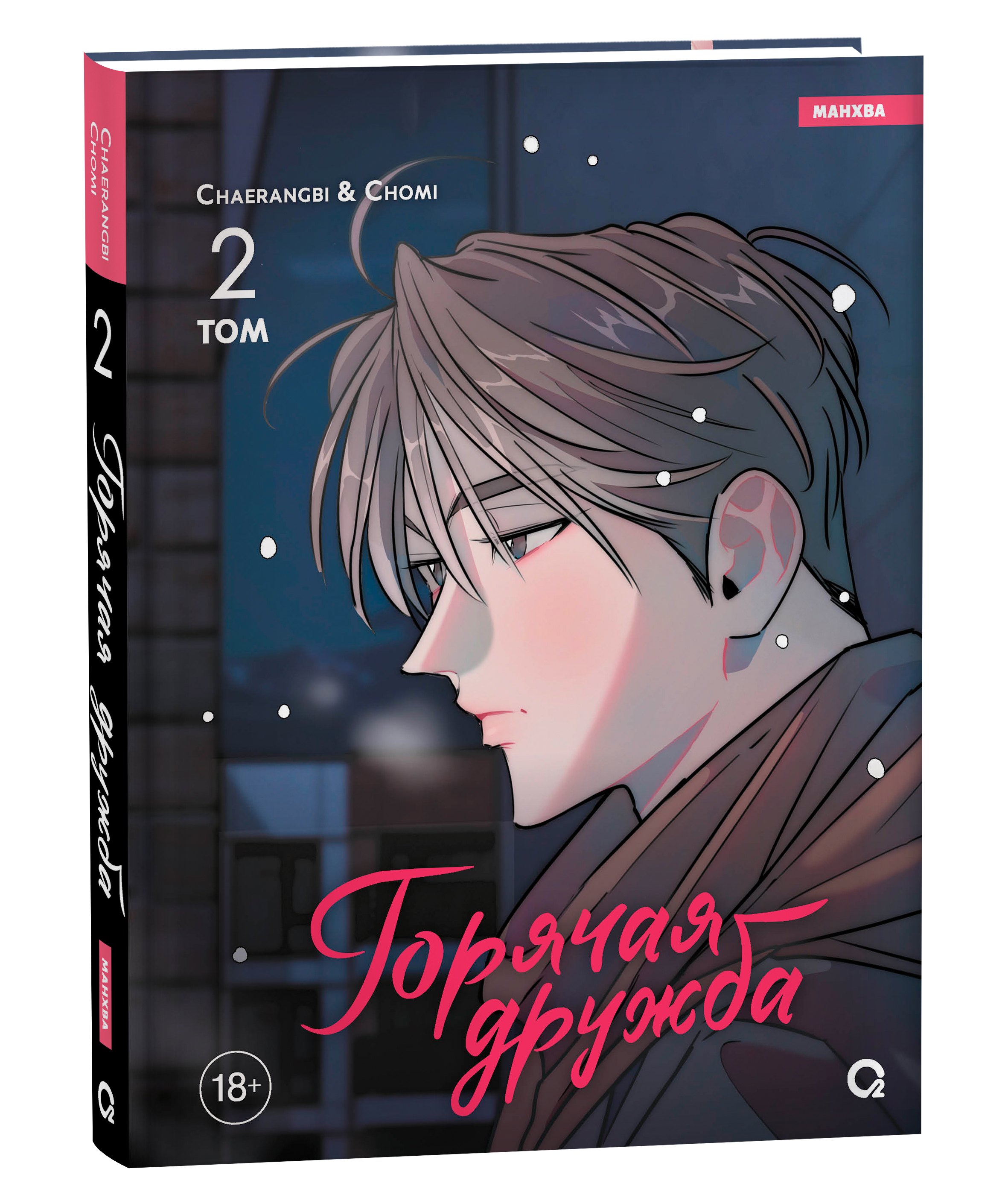 

Горячая дружба. Том 2 (Грязная дружба / Friendship, The Impure Type). Манхва