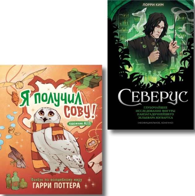 

Комплект из 2 книг. Гарри Поттер. Фанбук. Северус + Я получил сову