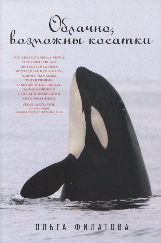 

Облачно, возможны косатки