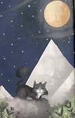 Кот, покоривший вершину - 2