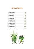 Мафия с подоконника - 2