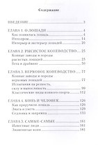Спортивное коневодство