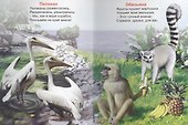 Стишата о зверятах - 2